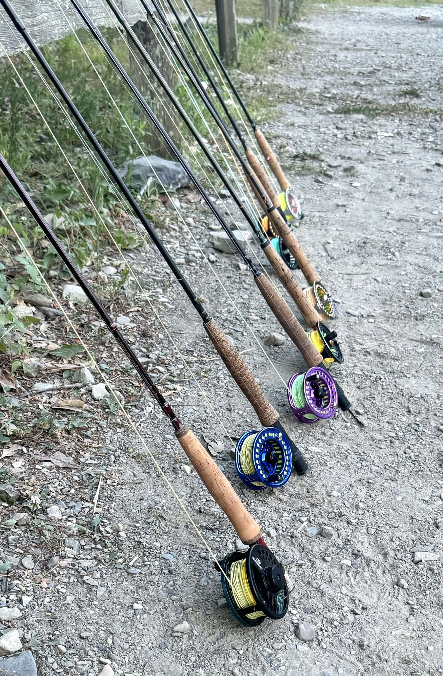 Photo Jun 26 2024, 6 14 22 AM